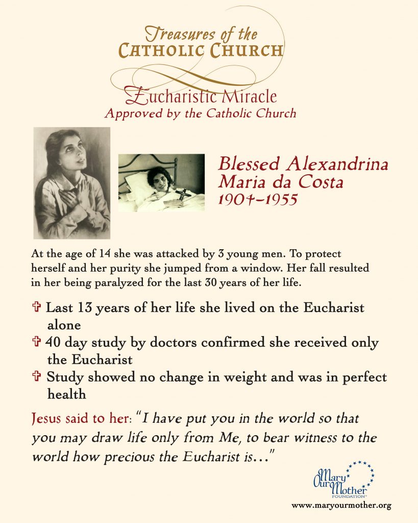 Alexandria Phone Flyer