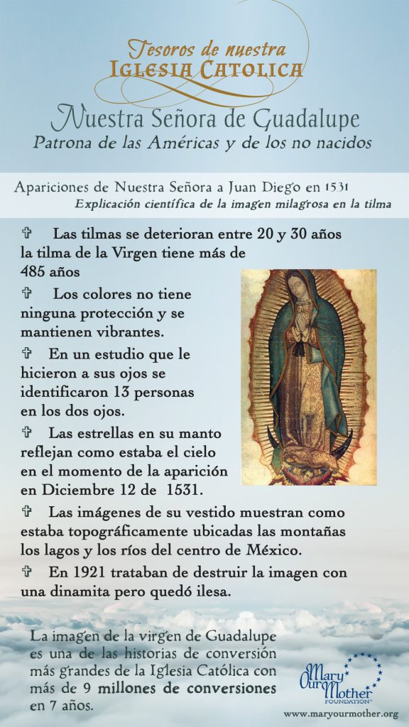 Guadalupe Spanish PHONE Flyer