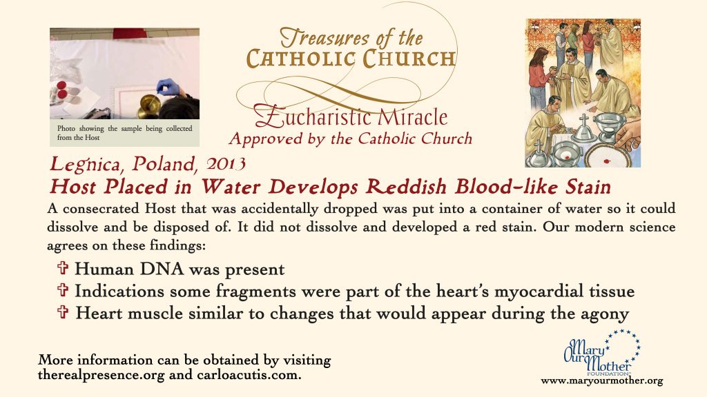 Legnica MONITOR Flyer