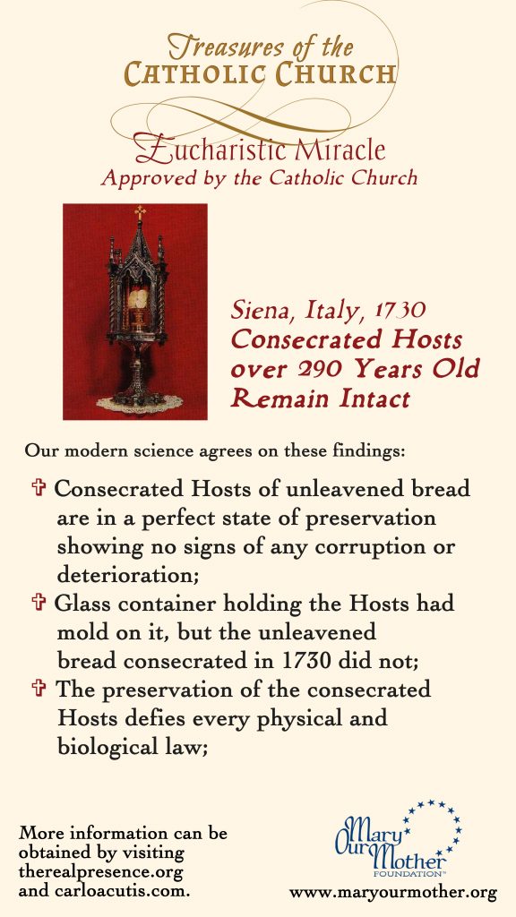 Siena PHONE Flyer