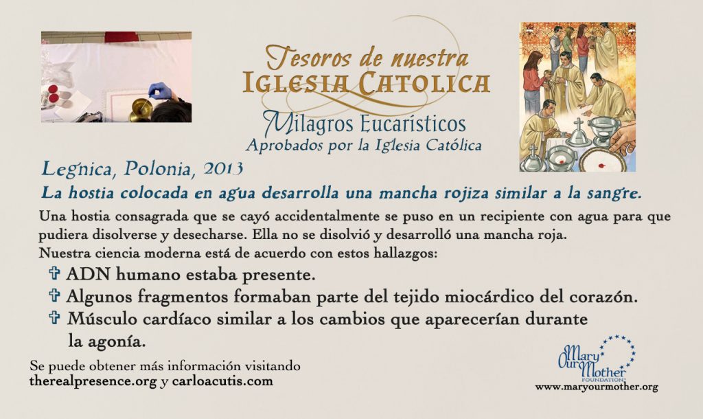 Spanish Legnica Card Front