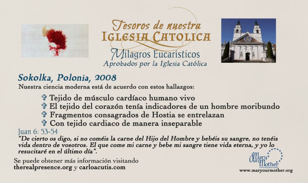 Spanish Sokolka Card Front