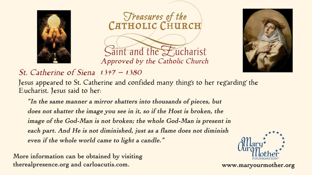St Catherine MONITOR Flyer