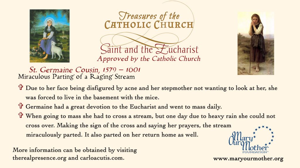 St Germaine MONITOR Flyer