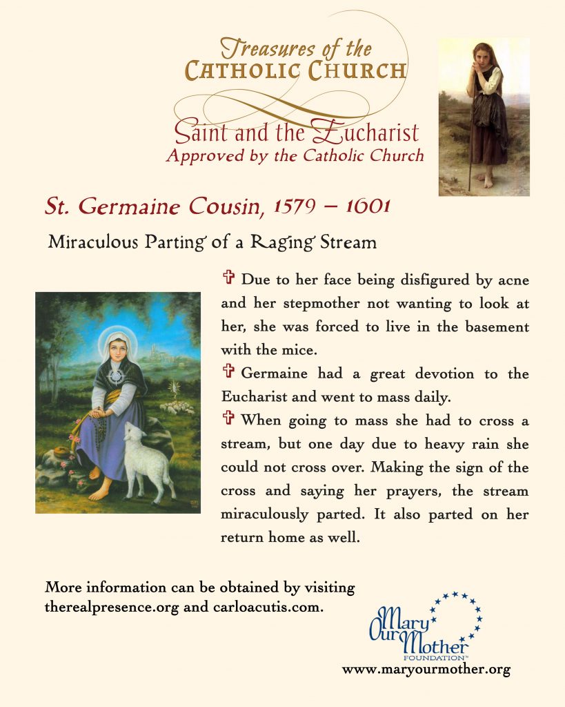 St Germaine Phone Image