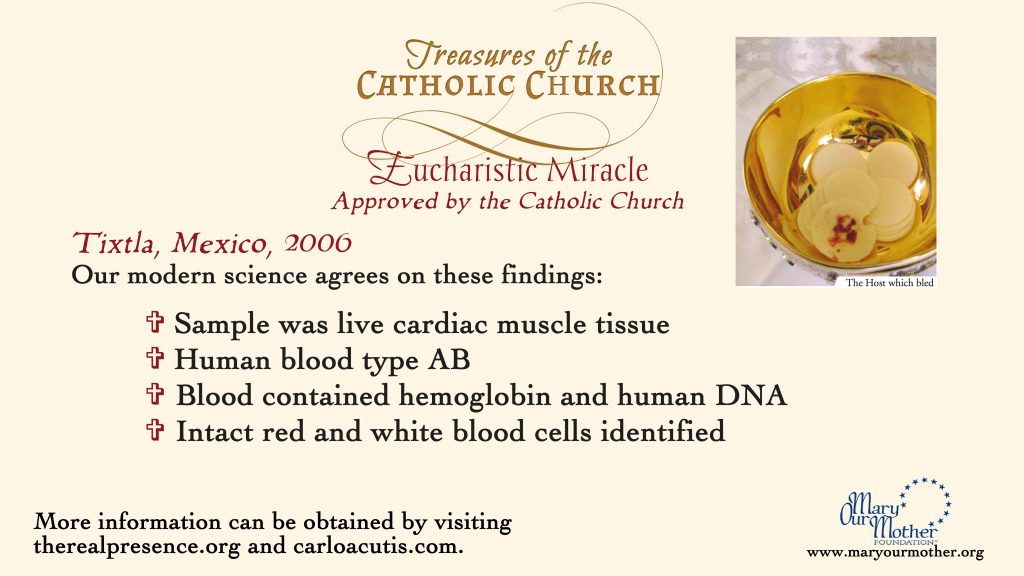 Tixtla MONITOR Flyer